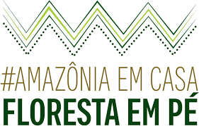 AMAZONIA-EM-CASA_Floresta-me-pe