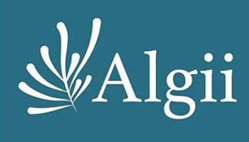 Logo-ALGII