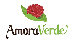 LogoAmoraVerde1