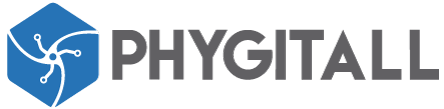 Logo_Phygitall